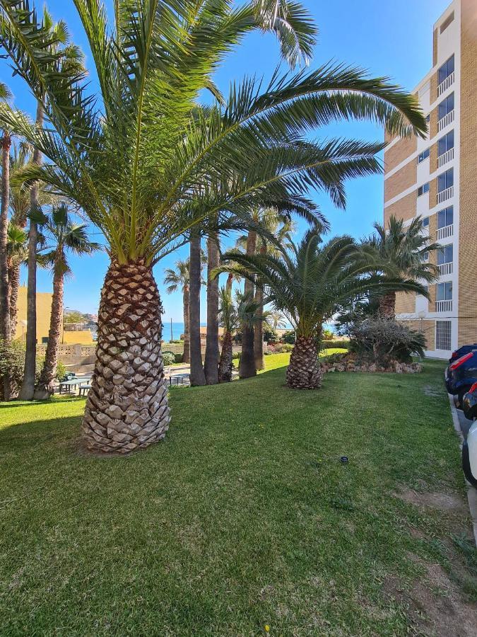 Room In Apartment - 1St Line Top Floor Apartment Carrer del Mar 外观 照片